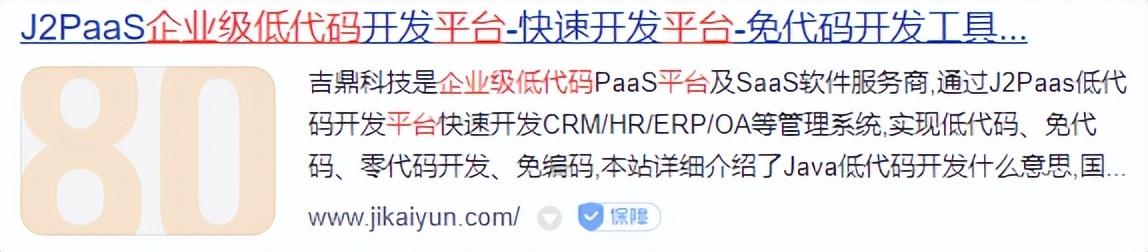 企業(yè)級(jí)低代碼開(kāi)發(fā)平臺(tái)有哪些？（低代碼開(kāi)發(fā)平臺(tái)介紹）